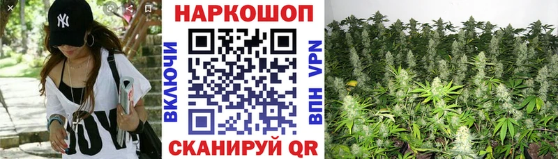 Виды наркоты Задонск ГАШ  Галлюциногенные грибы  МЕФ  Alpha PVP  Канабис  OMG ссылка  COCAIN 