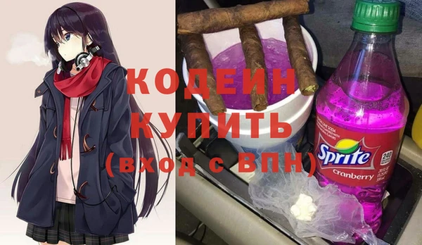 дурь Осташков