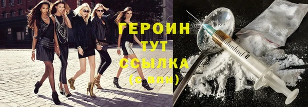 дживик Пересвет