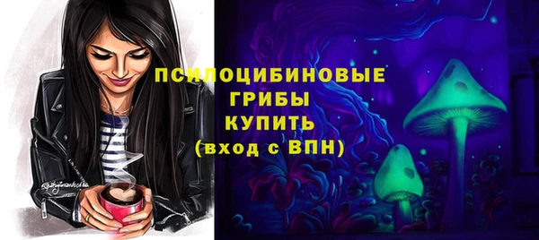 соль ск Осинники