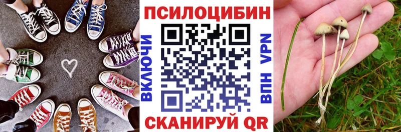 купить наркоту  Задонск  кракен сайт  Псилоцибиновые грибы Cubensis 